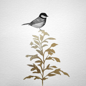 Le Secret des branches