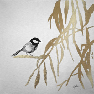 Oiseau sur eucalyptus